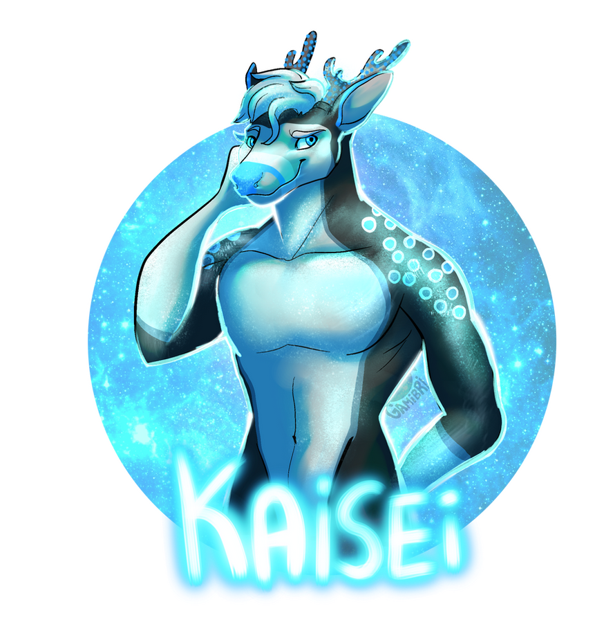 2020 Kaisei badge by Gamibri 2020 Kaisei badge by Gamibri