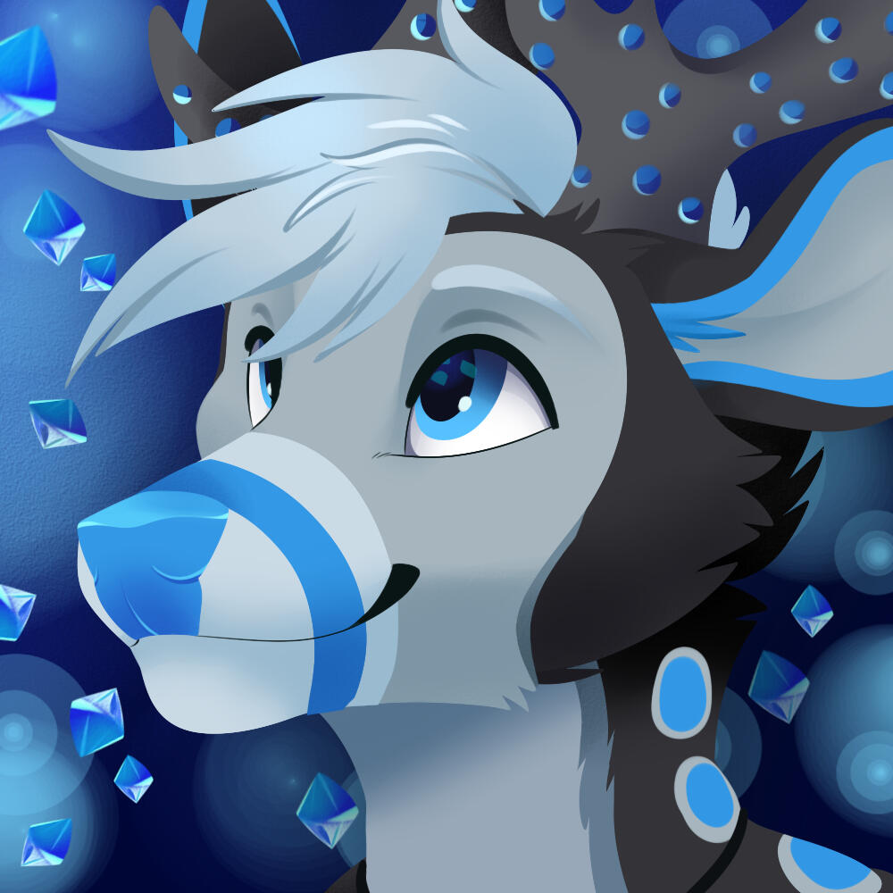 Reference Sheet